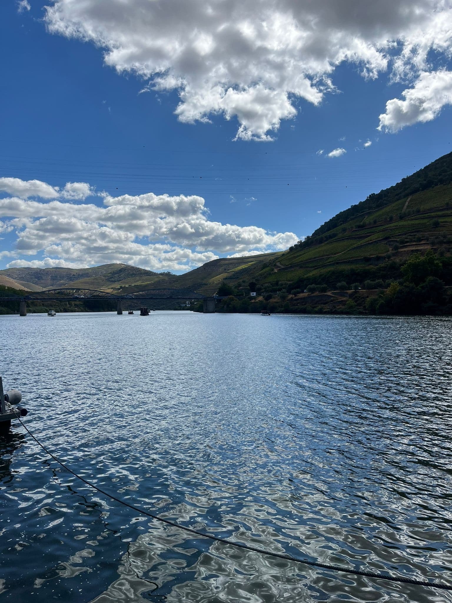 A Peter's Tours guest enjoying the Douro viewpoint